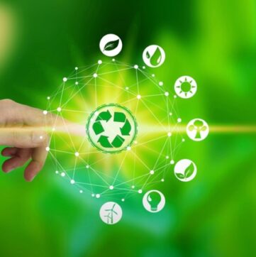 1. Umweltbelastung vermeiden Verantwortung für Natur und Umwelt durch naturgetreue Blumen und Pflanzen übernehmen